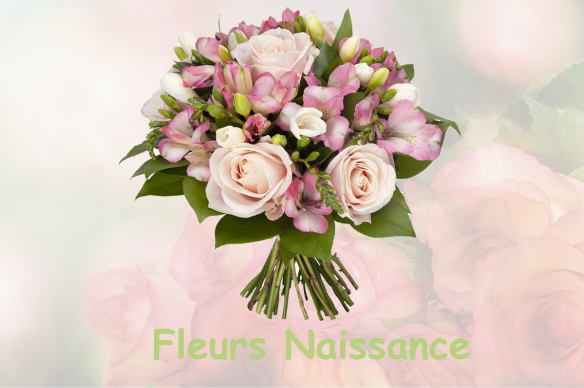 fleurs naissance VERRIERES-DU-GROSBOIS